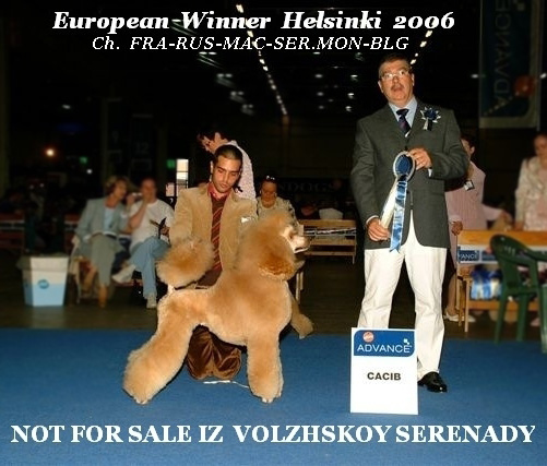 Kennel Iz Volzhskoy Serenady -top winning apricot and red standard poodles in Europa